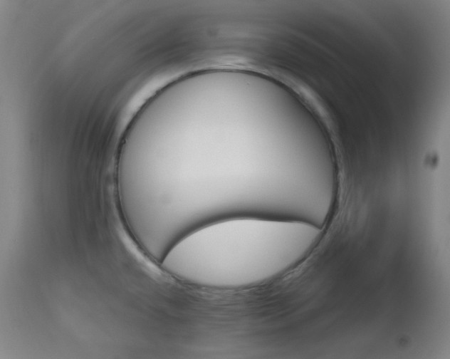 X0000113121432200908281427