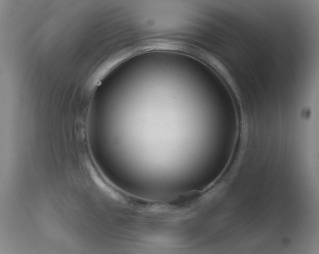 X0000113121433200908281427