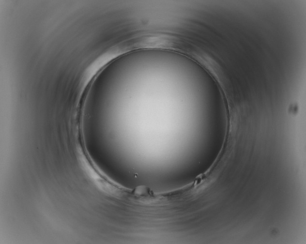 X0000113121434200908281427