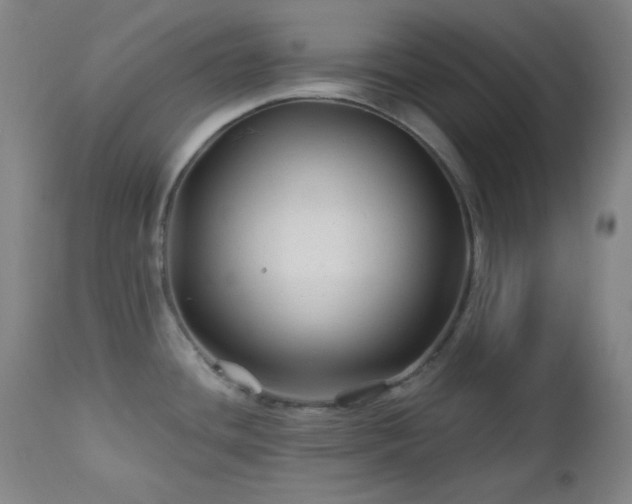 X0000113121436200908281427