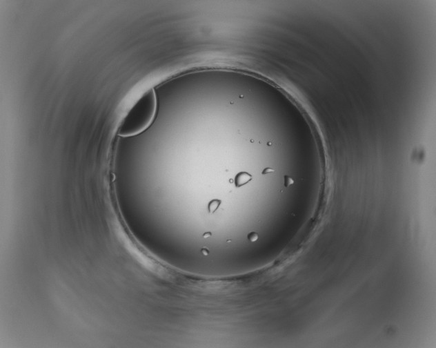 X0000113121437200908281427