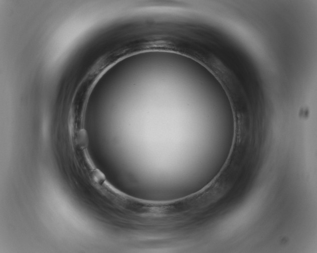 X0000113121438200908281427