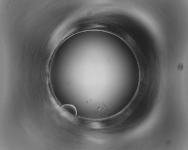 X0000113121439200908281427