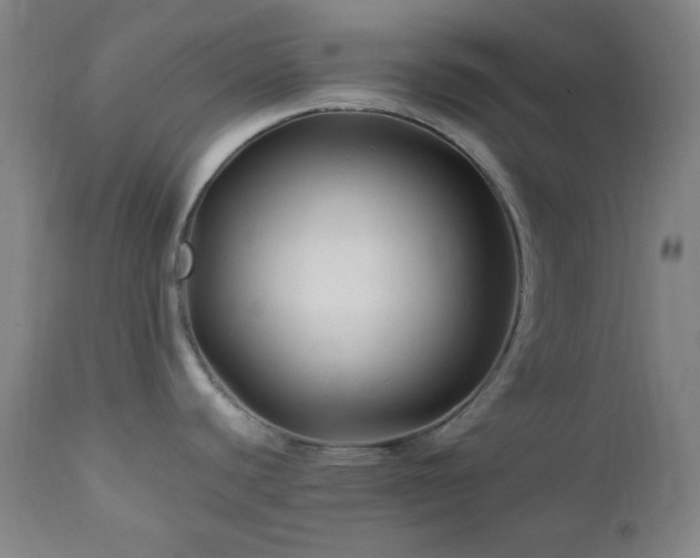 X0000113121440200908281427