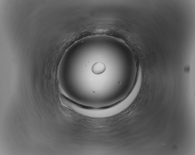 X0000113121441200908281427