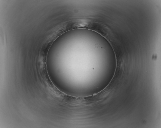 X0000113121442200908281427