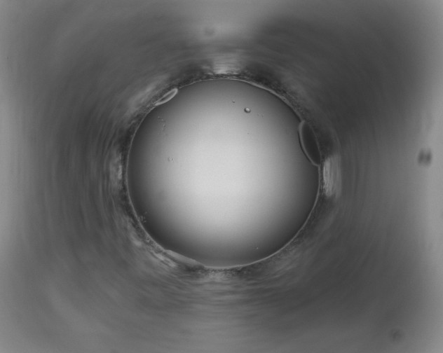 X0000113121443200908281427