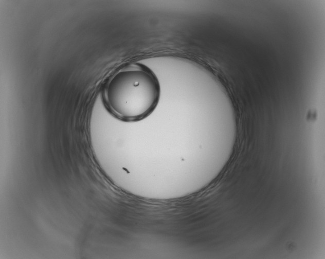 X0000113121444200908281427