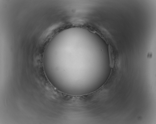 X0000113121445200908281427