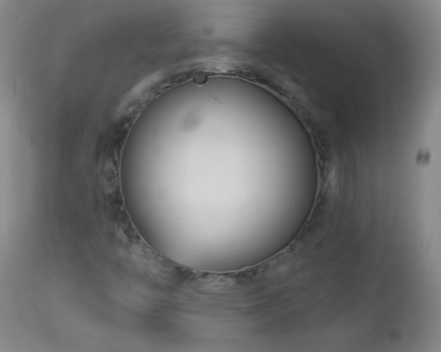 X0000113121446200908281427