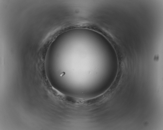 X0000113121447200908281427