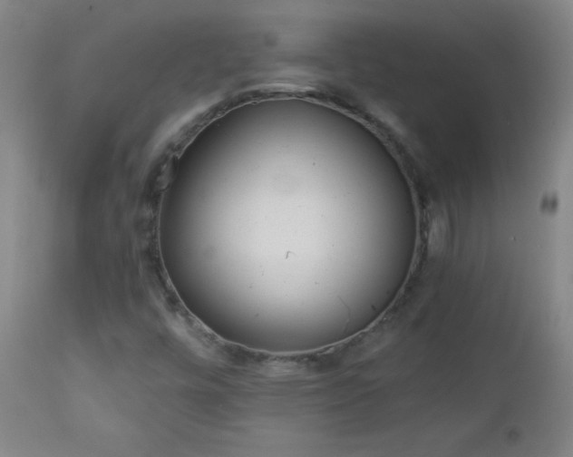 X0000113121448200908281427