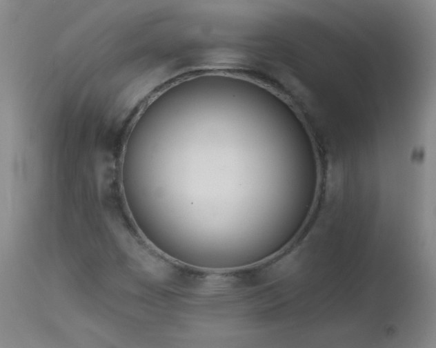 X0000113121449200908281427