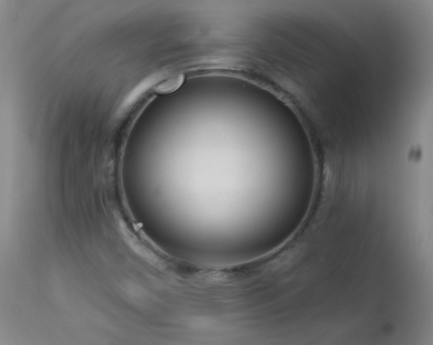 X0000113121450200908281427