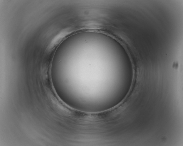 X0000113121451200908281427