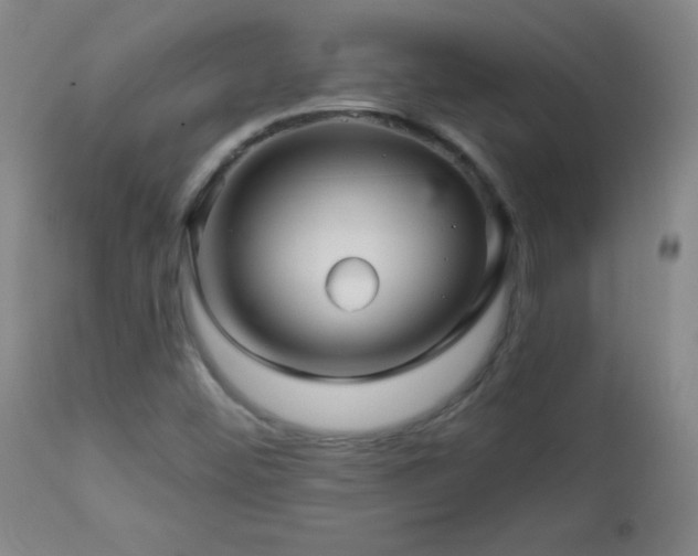 X0000113121452200908281427