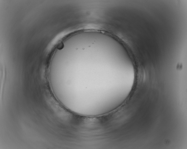 X0000113121454200908281427