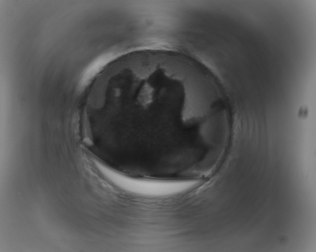 X0000113121455200908281427