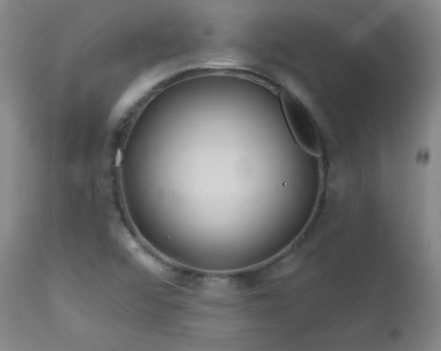 X0000113121456200908281427