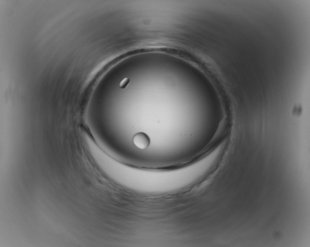 X0000113121457200908281427