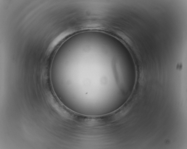 X0000113121458200908281427