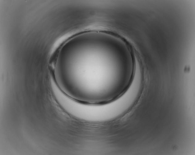 X0000113121461200908281427