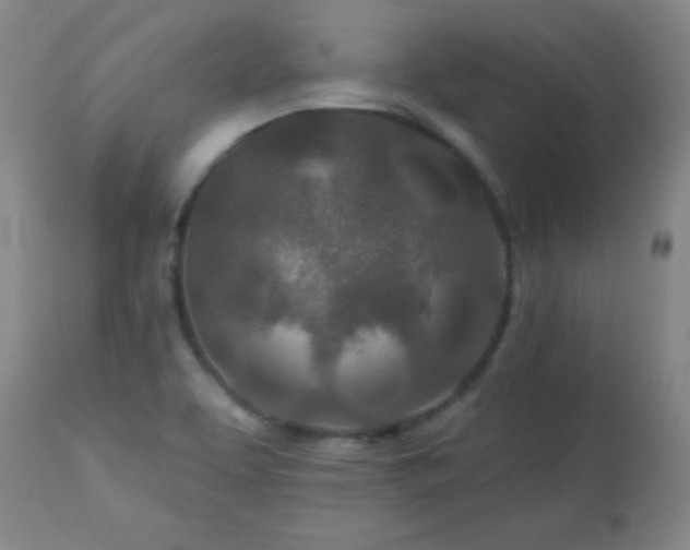 X0000113121463200908281427