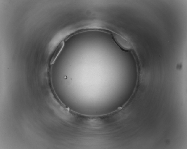 X0000113121464200908281427