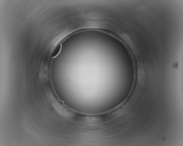 X0000113121465200908281426