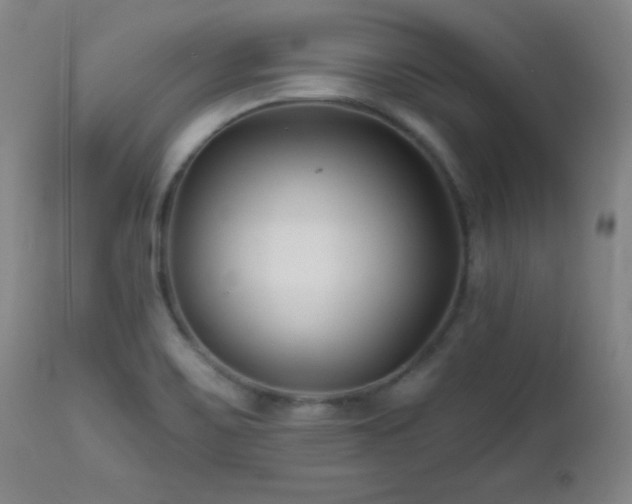 X0000113121467200908281426