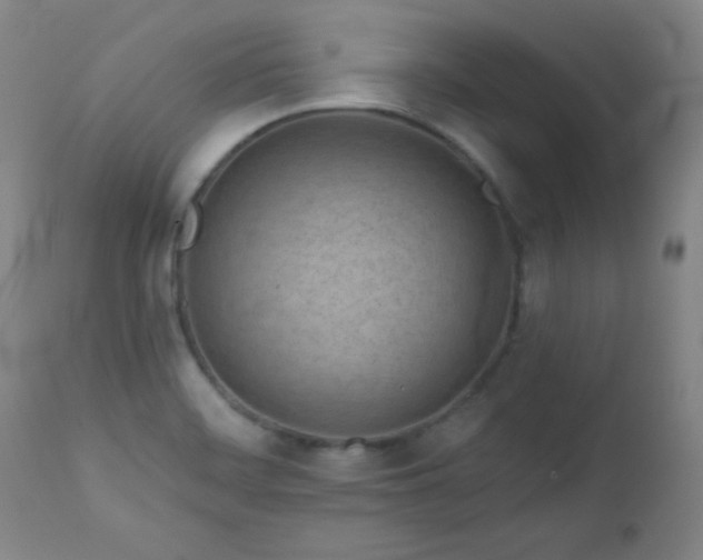 X0000113121468200908281426