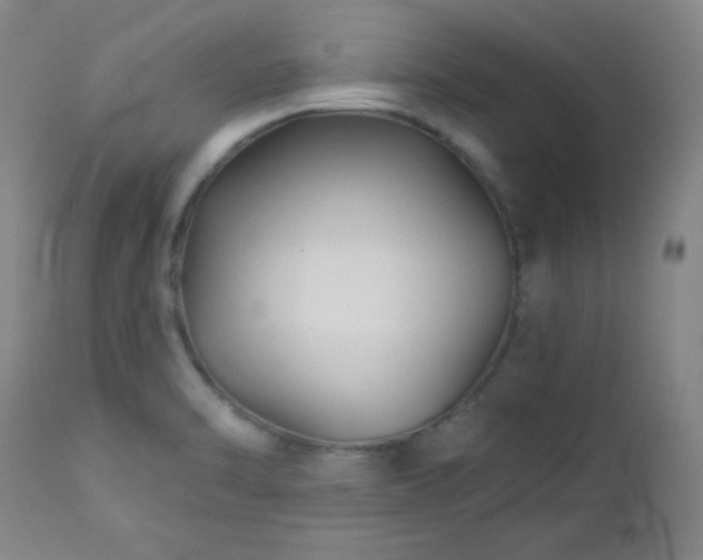 X0000113121470200908281426