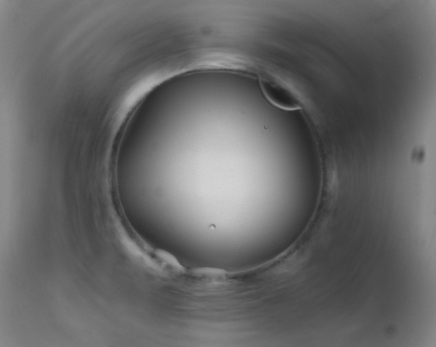 X0000113121471200908281426