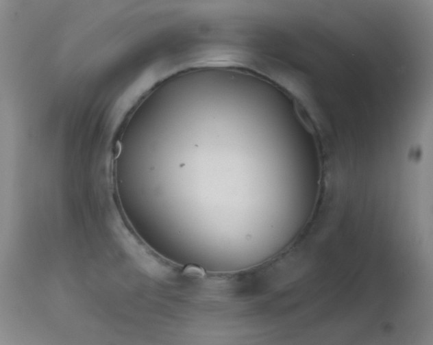 X0000113121472200908281426