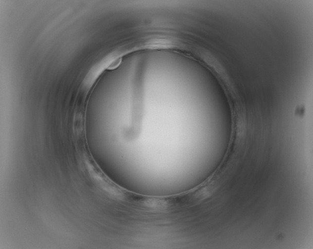 X0000113121473200908281426