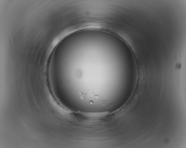 X0000113121475200908281426