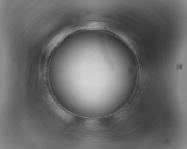 X0000113121477200908281426