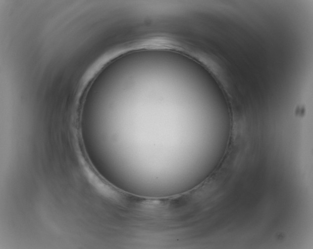 X0000113121478200908281426