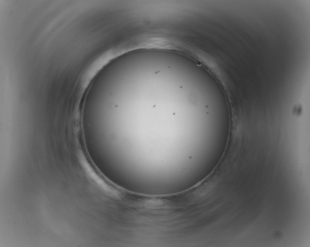 X0000113121479200908281426
