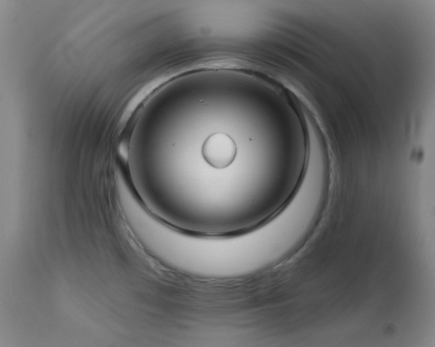 X0000113121481200908281426