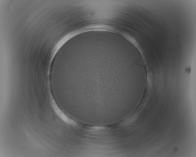 X0000113121482200908281426