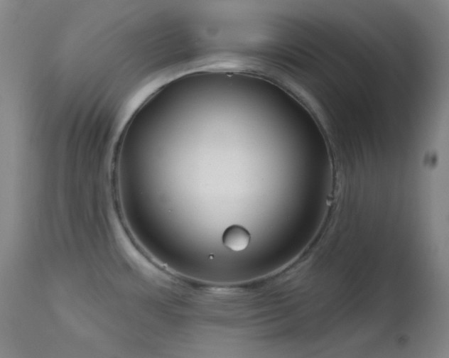 X0000113121483200908281426