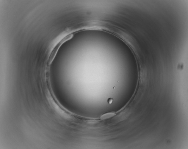X0000113121484200908281426