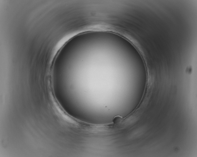 X0000113121486200908281426