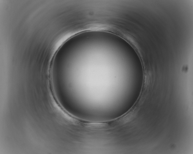 X0000113121487200908281426