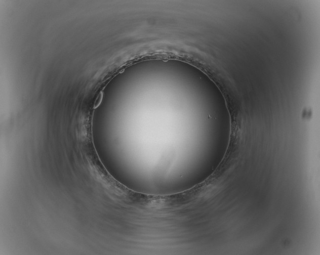 X0000113121490200908281425