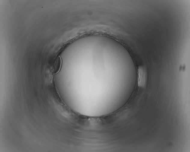 X0000113121491200908281425