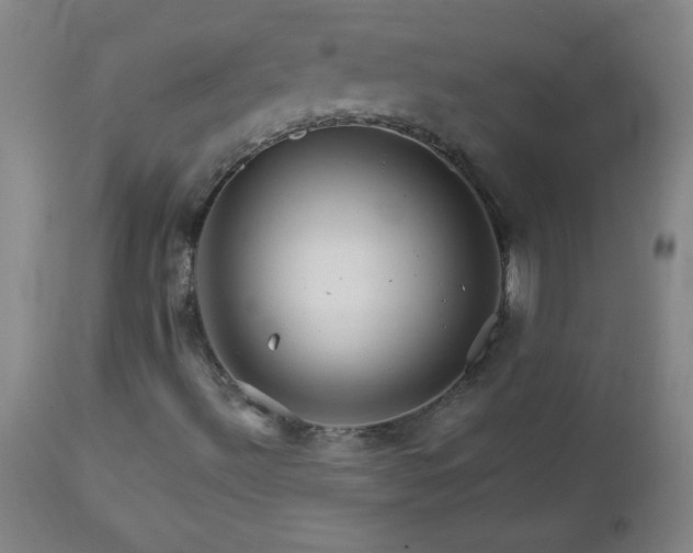 X0000113121492200908281425