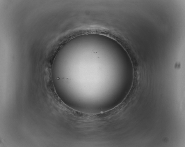 X0000113121493200908281425