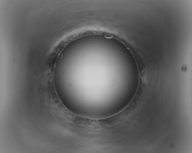 X0000113121495200908281425